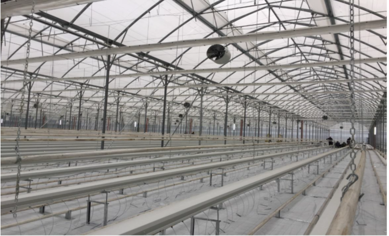 RUSSİA ABKHAZİA SERA PROJESİ